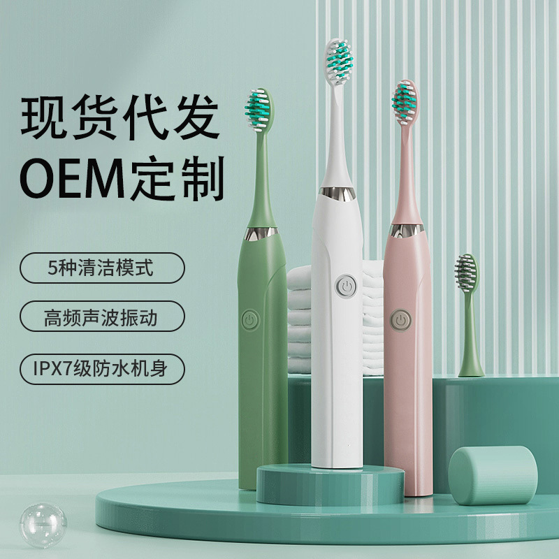 Home Vibrating Toothbrush with Water Flosser, Rechargeable, Adult Ultrasonic
