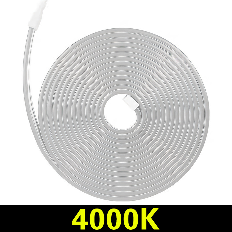 12V low voltage LED neon light strip 6x12 remote control single color LED light strip soft glowing flexible silicone LED light strip