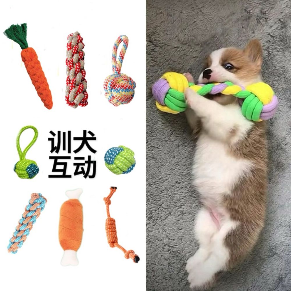 Chew-Resistant Cotton Rope Dog Toy Set for Small and Medium Dogs