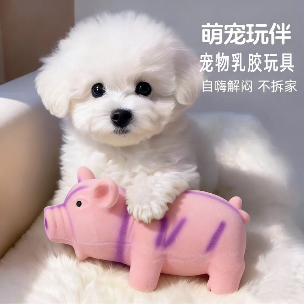 厂家现货乳胶玩具 趣味发声猪猪玩具 狗狗发泄解闷宠物玩具跨境