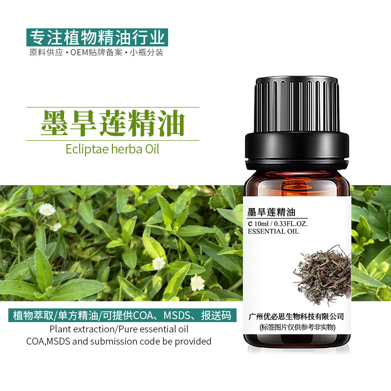 厂家供应墨旱莲精油 旱莲草油植物单方精油原料批发  墨旱莲油