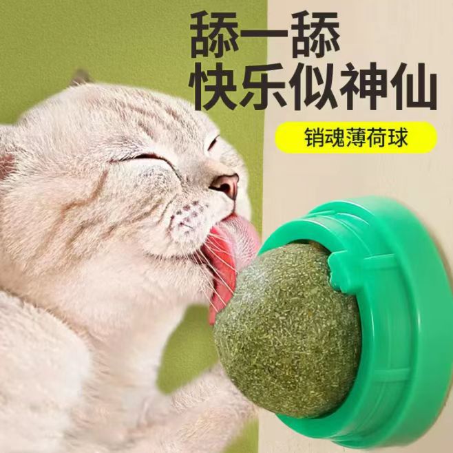 Catnip Ball Cat Toy, Durable Chew Toy with Teeth Cleaning and Boredom Relief - 1