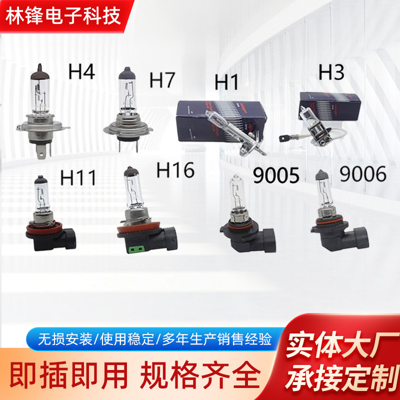 Car H4 Halogen Bulb H1 H8 H11 H3 9005 9006 Headlight, Fog Light and High/Low Beam Bulb