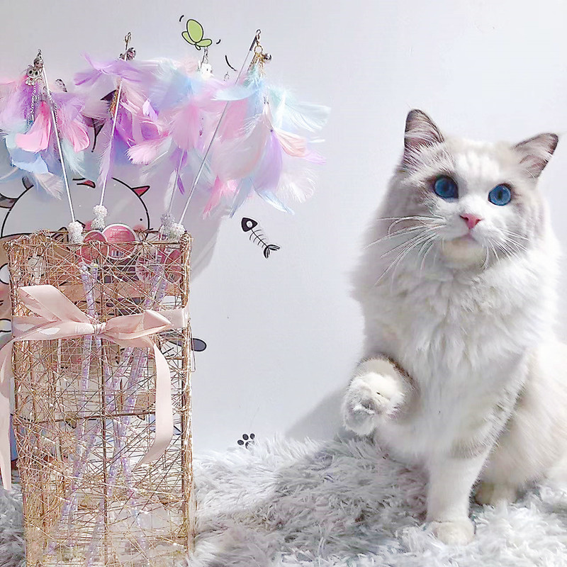 Katzenangel mit Pfauenfeder und Glöckchen, bunt