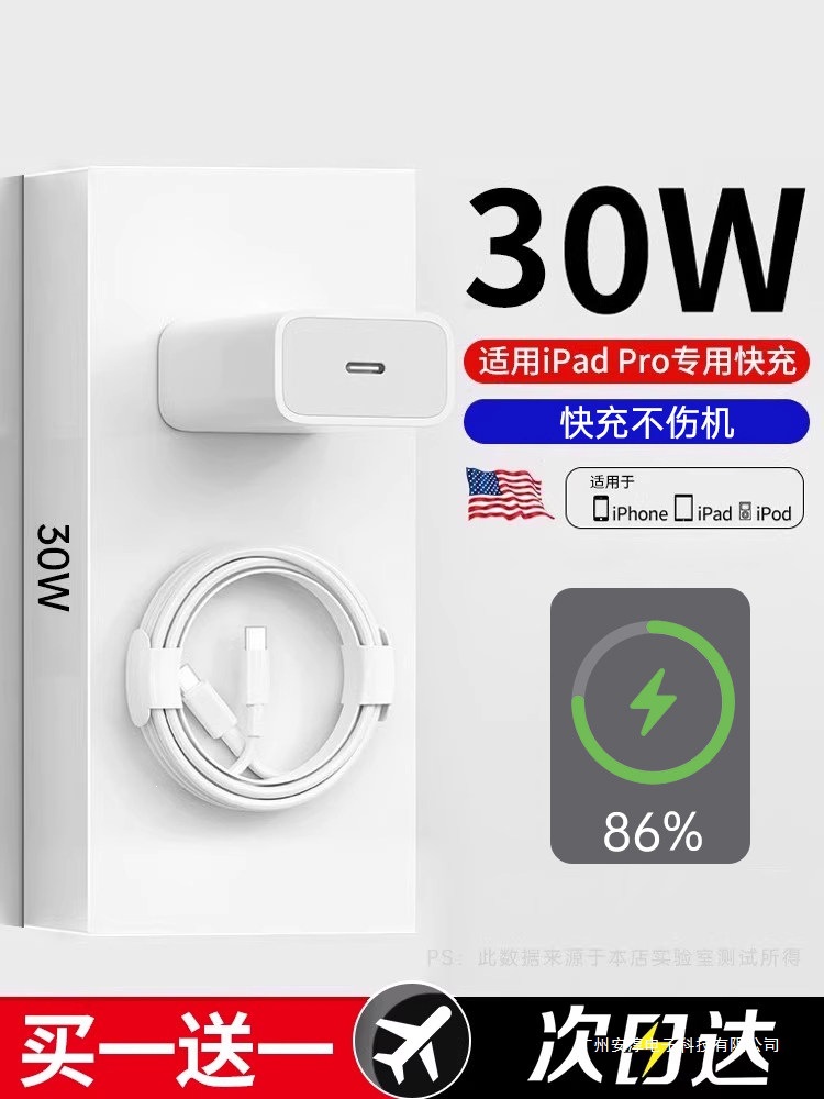 30W Fast Charger Head for Apple iPad Pro, 2022 Model - 1