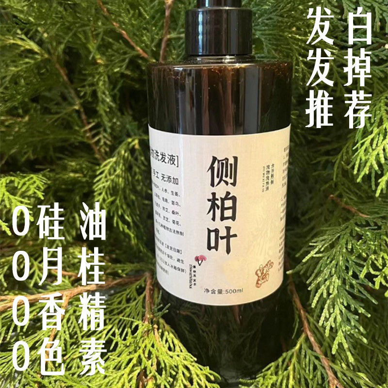 Herbal Platycladus Leaf Shampoo with Ginseng, Silicone-Free, Oil Control