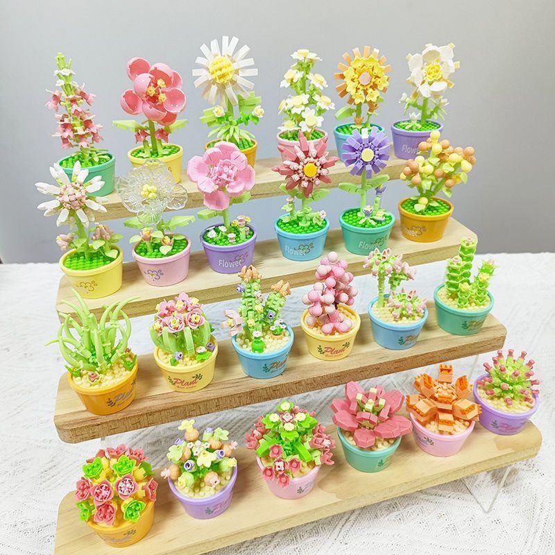 Succulent Potted Plant Model Micro Particle Building Blocks for Kids - 1