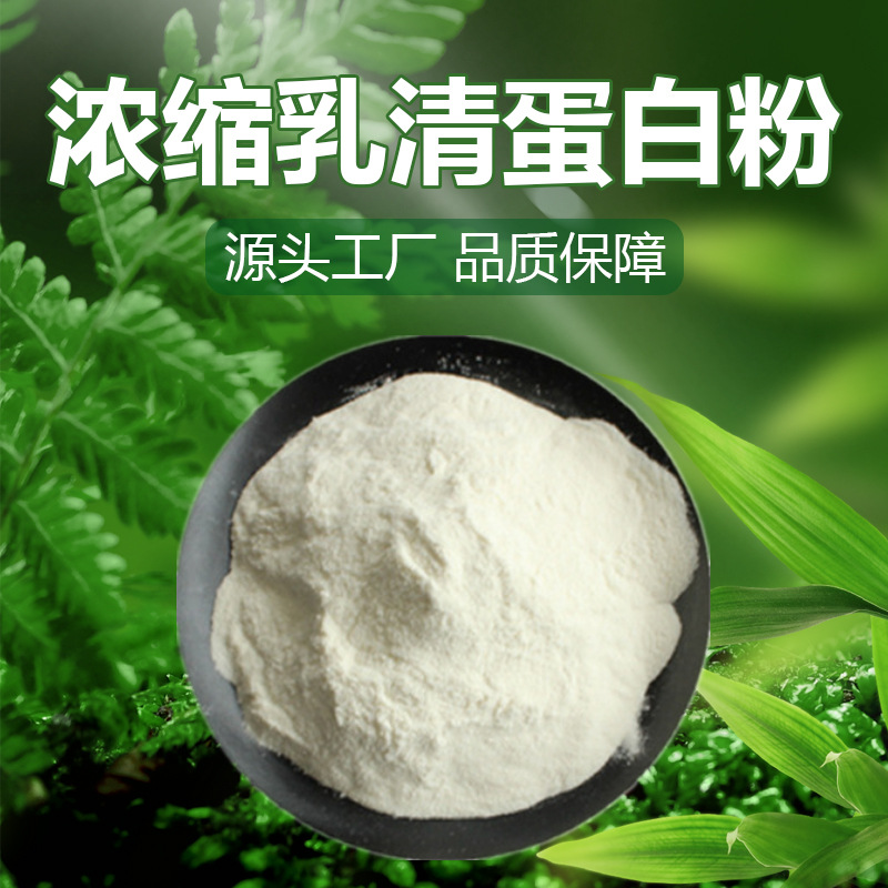 浓缩乳清蛋白粉 90%  蛋白固体饮料  食品级 现货 支持拿样