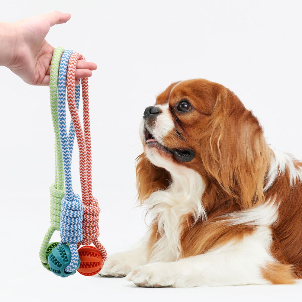 Indestructible Dog Toy Chew Resistant Self-Play Boredom Relief Pet Chewing Molar Dog Toy Bite-Proof Rope Ball Puppy Supplies