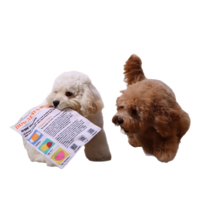 Robustes Zeitungs-Hundespielzeug, Knistereffekt, interaktiv