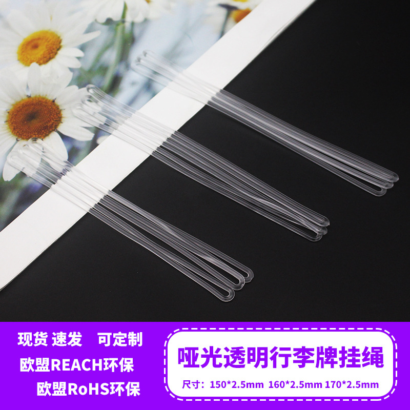 Matte Transparent Luggage Tag Strap with PVC Boarding Pass Holder, 15cm, 16cm, 17cm