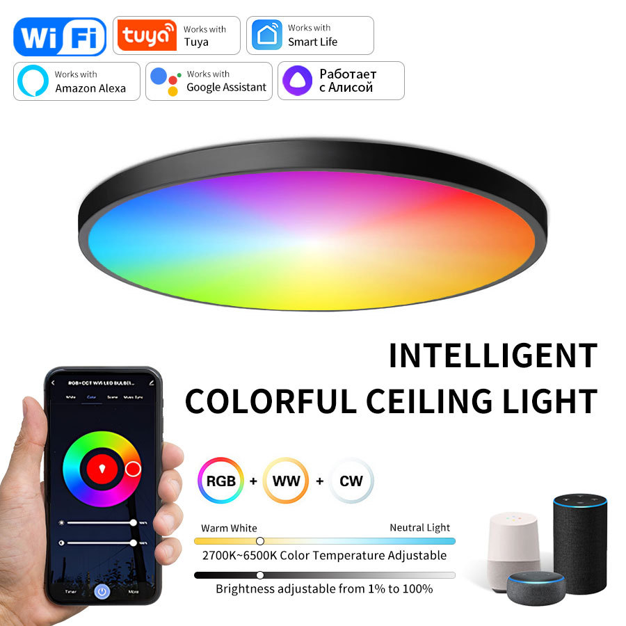 Tuya WiFi Smart Ceiling Light, RGBCW, Dimmable, Alexa and Google Compatible