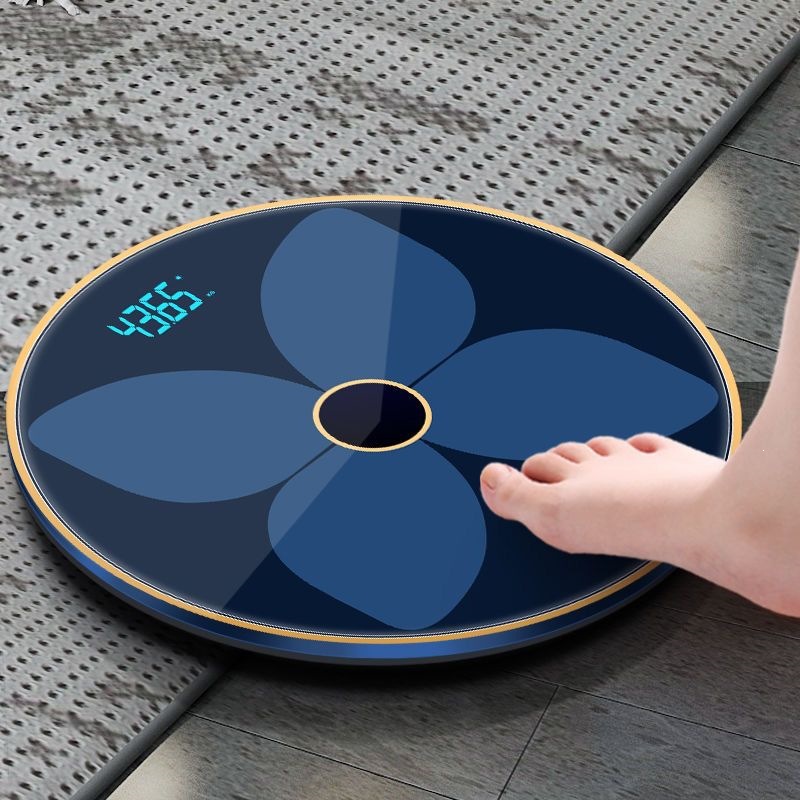 Electronic weight scale, digital, high precision