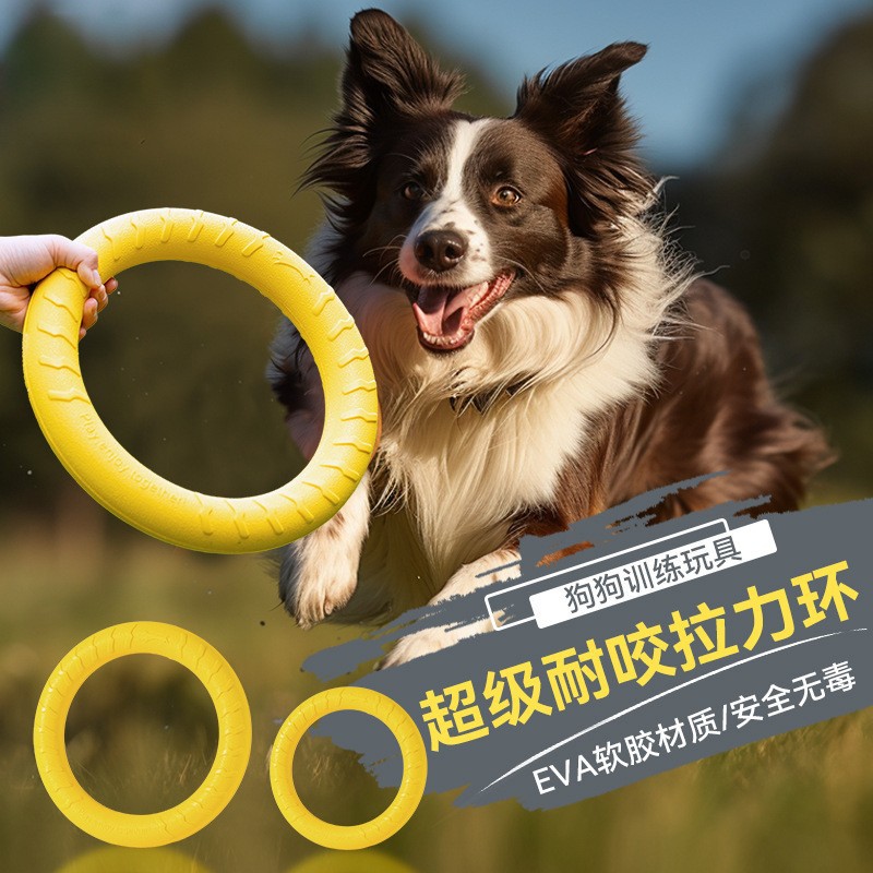 Durable Chew Tug Ring and Frisbee Dog Training Toy - 1