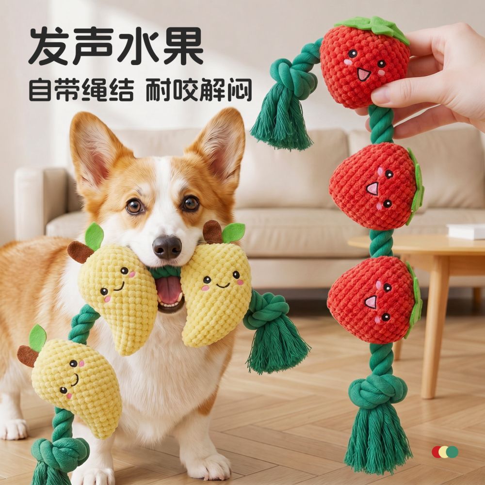 Hoopet Squeaky Dog Toy with Chew-Resistant Rope Knot for Small Dogs - 1