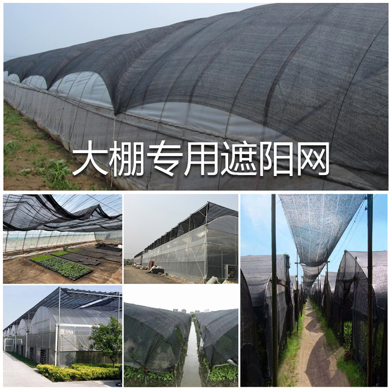 Agricultural Shade Net, 6-Needle Dense, Black, Greenhouse Shading
