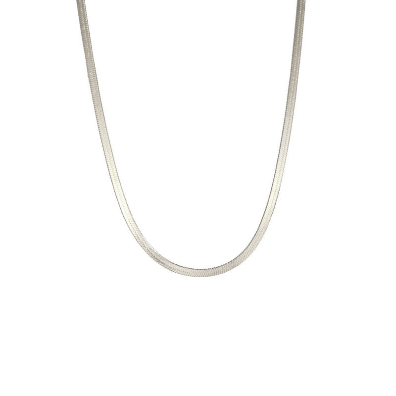Simple and stylish blade snake bone pendant unisex flat snake chain cross-border bestseller stainless steel bridge bone chain