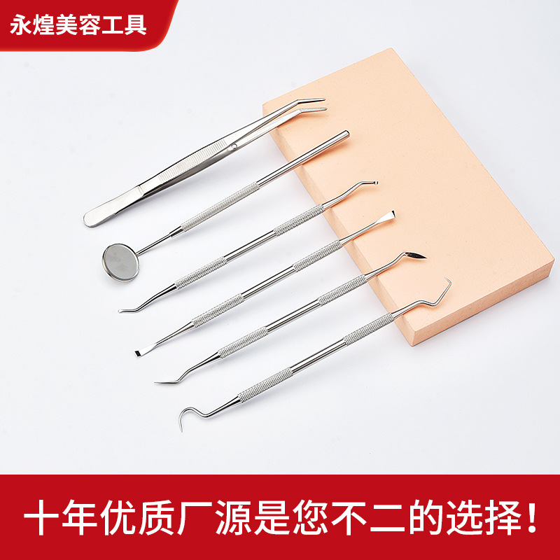 Stainless Steel Dental Scaler Set with Endoscope Probe