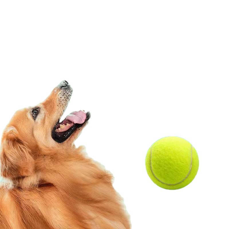 Evcil hayvan çiğneme oyuncağı, elastik kauçuk, tenis topu