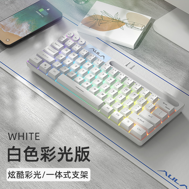 AULA Wolf Spider F3061 Mini Mechanical Feel Keypad 61 Keys Wired RGB Desktop Laptop Tablet Portable