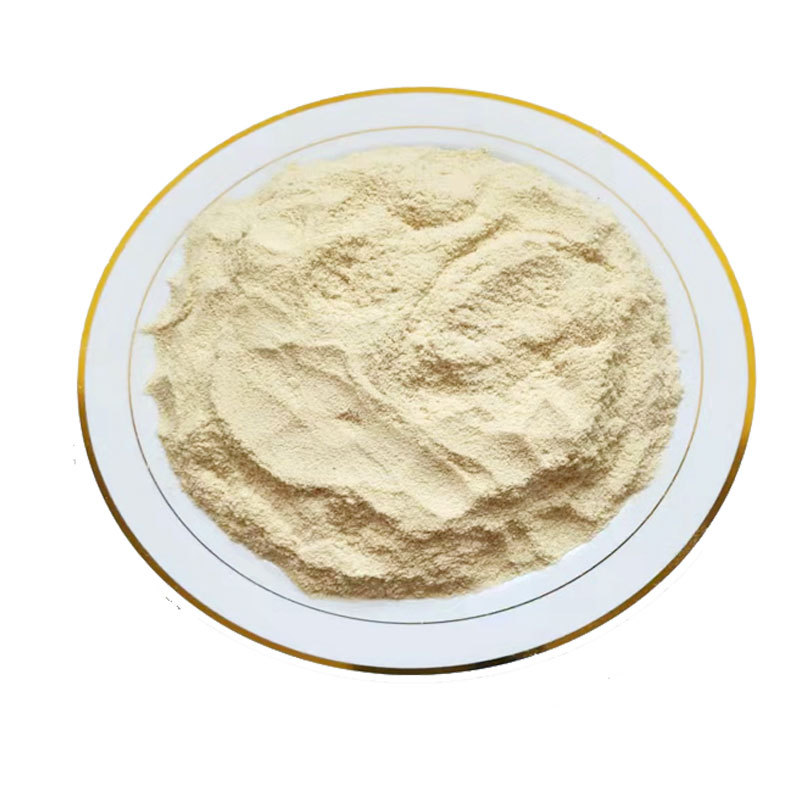 600 Mesh Bamboo Powder, PLA Biodegradable Plastic Raw Material - 1