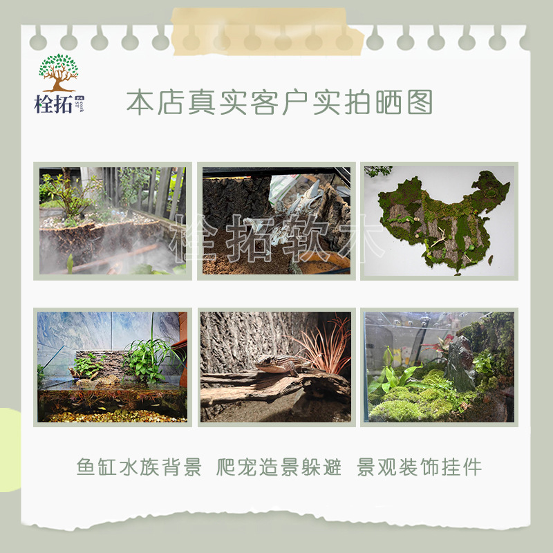 Cork bark champagne tree real bark climbing pet fish tank landscape aquarium decoration sticker photo background wall bark