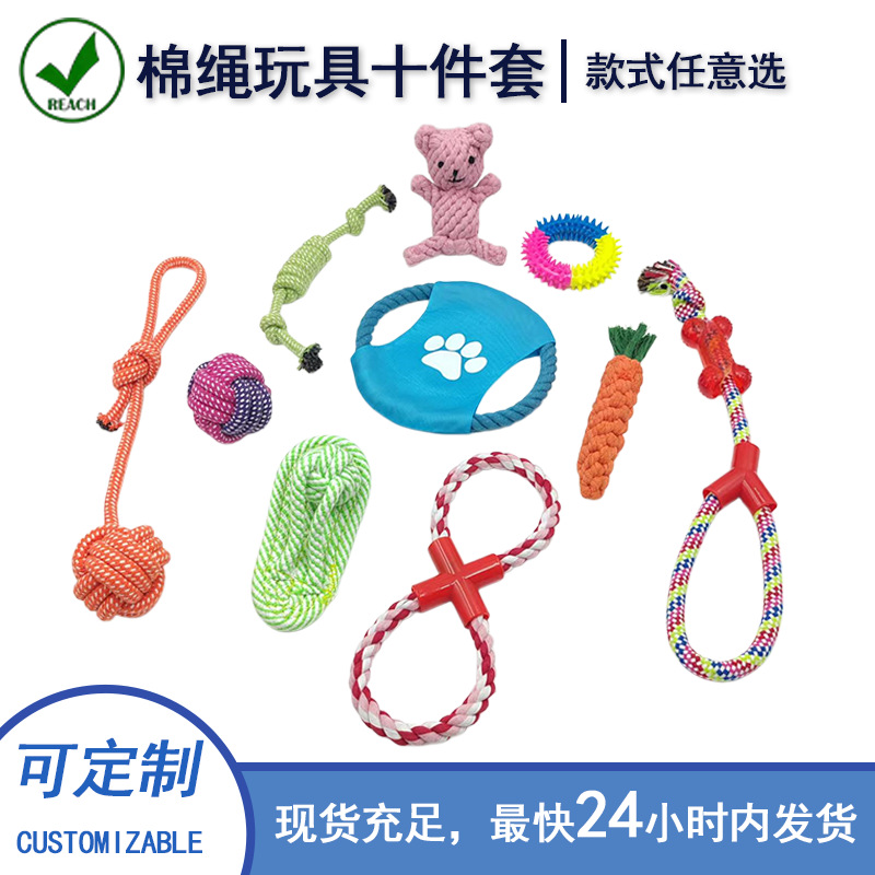 10-Piece Pet Toy Set for Small and Medium Dogs