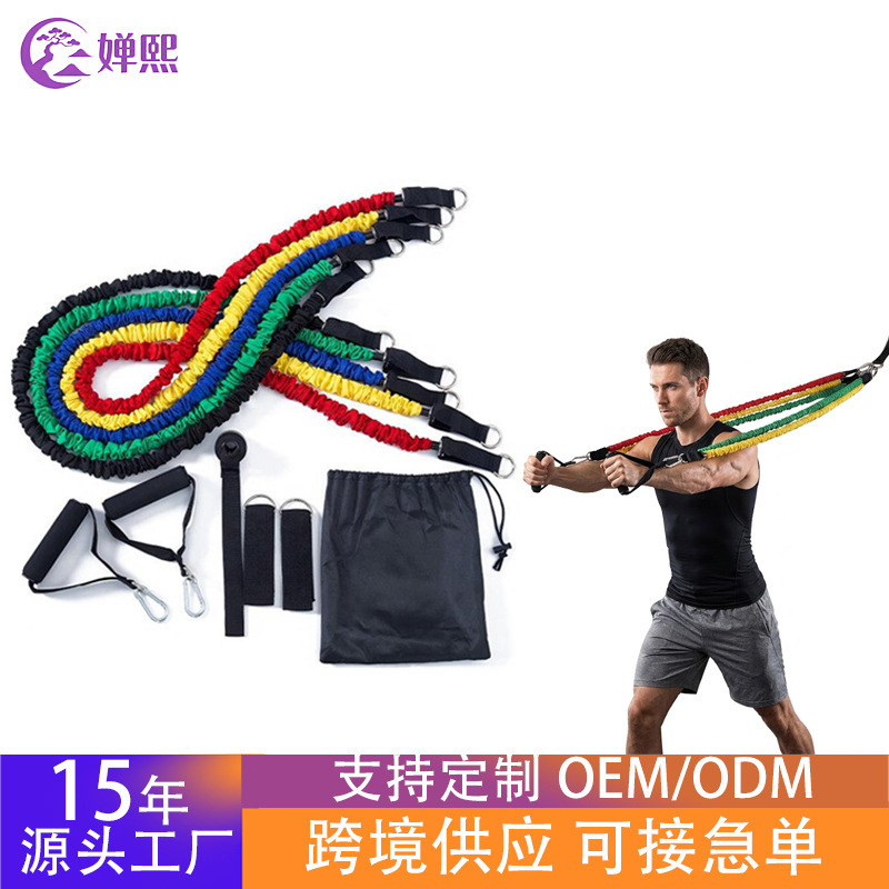 Fitness Resistance Band Set with Elastic Rope for Shoulder and Back Training - 1