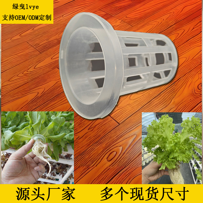 Plastic Hydroponic Vegetable Growing Basket with Blue Container, Soilless