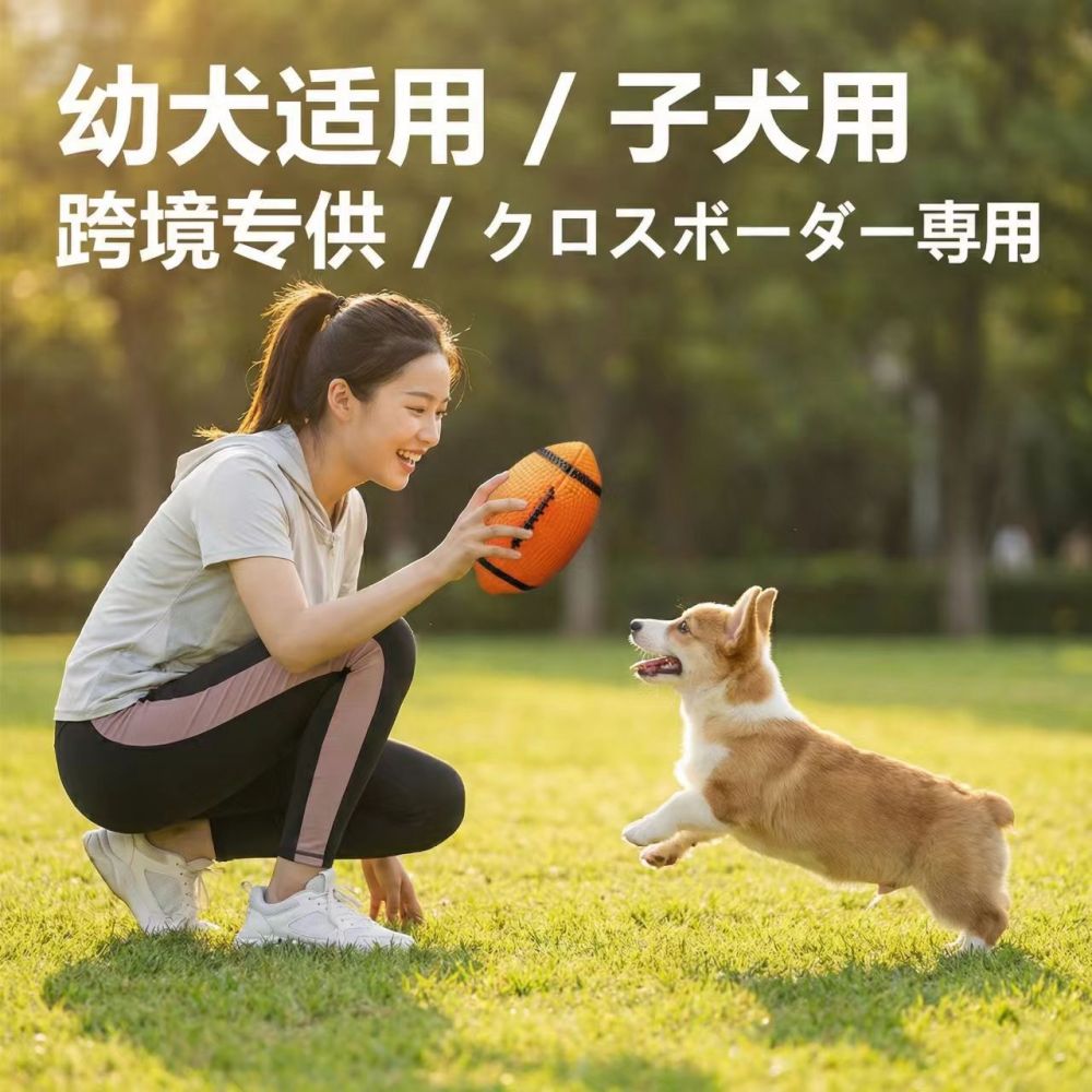 Rugby Vinyl Squeaky Dog Toy, Pet Chew Toy