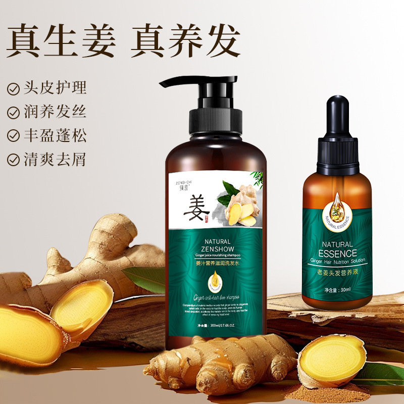 Zhenxiu Ingwer-Shampoo, öl-kontrollierend, glättend, gegen Frizz