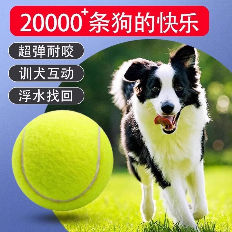 Tenis Topu Köpek Oyuncağı, Elastik Rebound Top, Dış Mekan Eğitim Topu