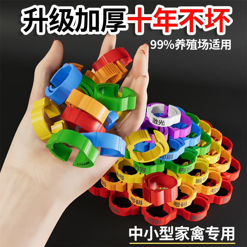Chicken leg rings, snap-type poultry identification rings, custom text