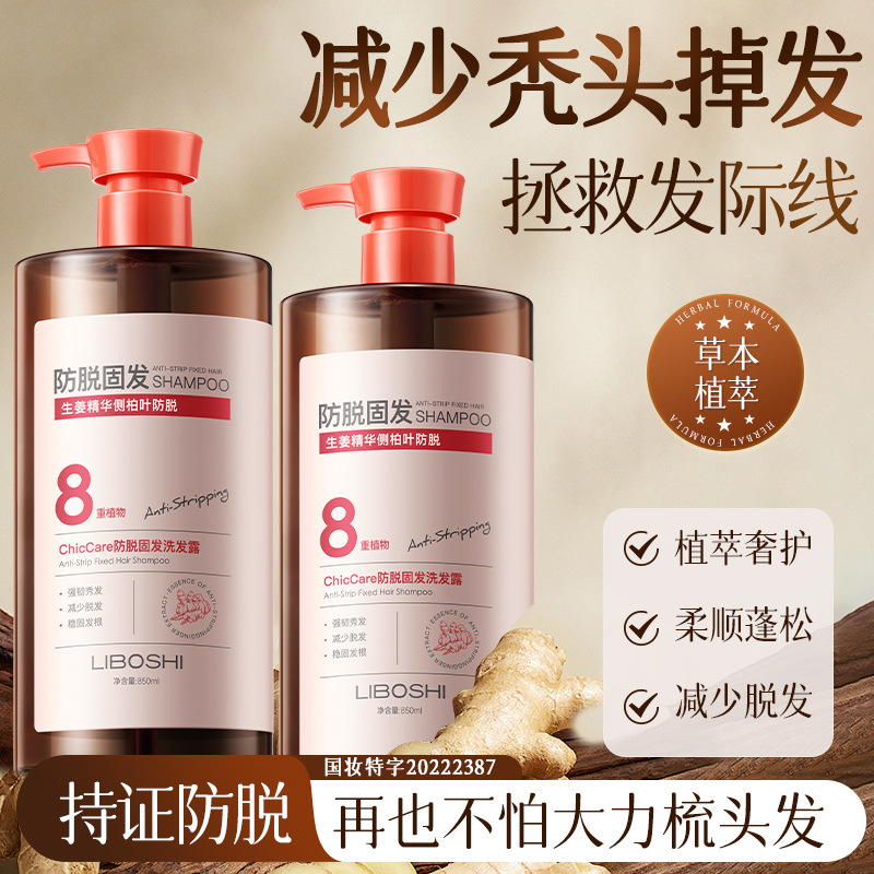 Platycladus Leaf and Ginger Anti-Hair Loss Shampoo Large Capacity Oil Control Volumizing Herbal Hair Loss Prevention Shampoo Best-Selling Wholesale