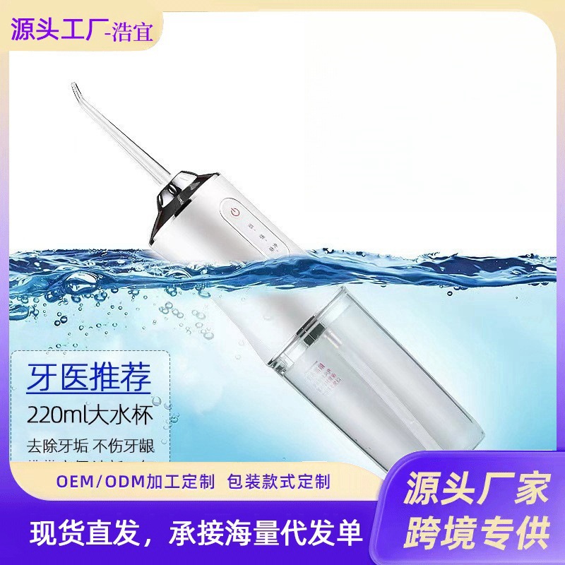 Portable electric oral irrigator, tartar remover