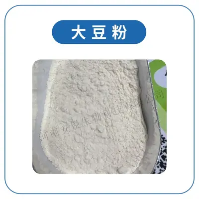 Soy Protein Powder, Food Grade Nutritional Fortifier - 3