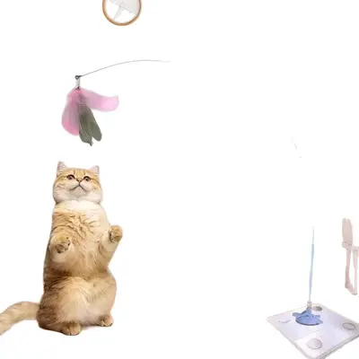 Vantuzlu Kedi Oyun Çubuğu, Çelik Tel, Yedek Tüy Başlık - 6