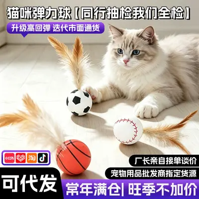 Cat Toy Self-Play Boredom Relief Cross-Border New Cat Elastic Ball Feather Pet Supplies Cat Toy Wholesale Dropshipping