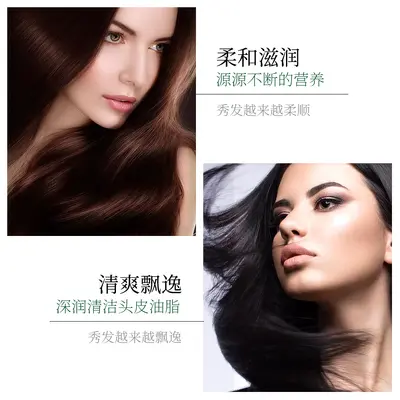 Xingxiangmei Ginger Moisturizing Shampoo with Polygonum Multiflorum and Camellia Seed - 5