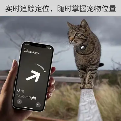 Bluetooth pet and item tracker locator