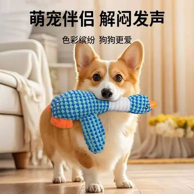 Rope Knot Dog Toy with TPR Rubber, Chew-Resistant for Teddy and Puppies - 8