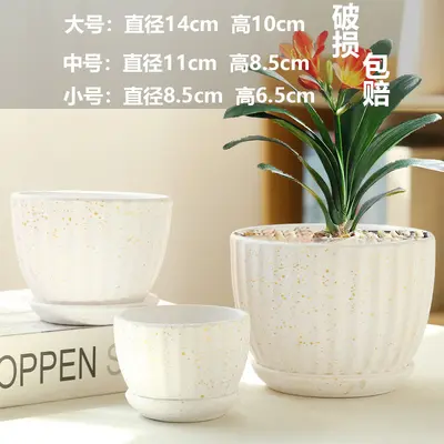 Ceramic Flower Pot, Large and Medium Sizes, White, for Phalaenopsis and Pothos - 12