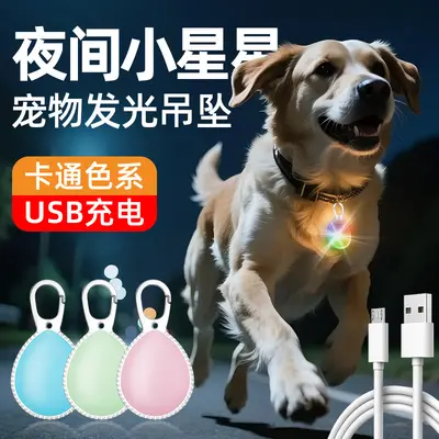 Light-Up Dog Collar for Night Walks, Prevents Getting Lost - 1