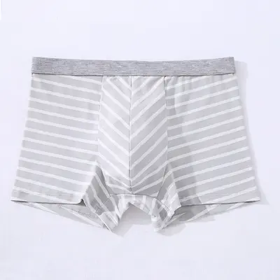Pure Cotton Men's Boxer Briefs, 3D Seamless, Striped Print, Plus Size - 8