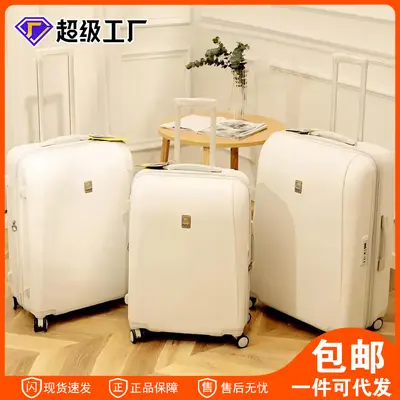 24-inch Drop-Resistant Hard Shell Suitcase with Silent Wheels