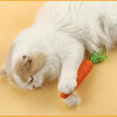Carrot Cat Toy with Paper Rope, Teaser Wand for Teeth and Claw Grinding - 5