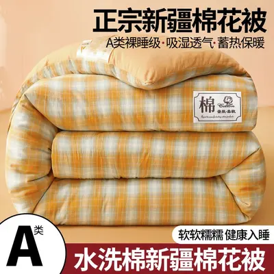 Class A Xinjiang Cotton Quilt, Thickened, Single Size - 10