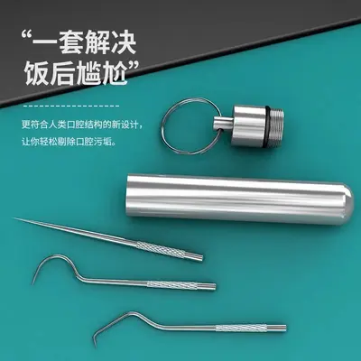 Stainless Steel Toothpick and Dental Floss Set, Portable Tube