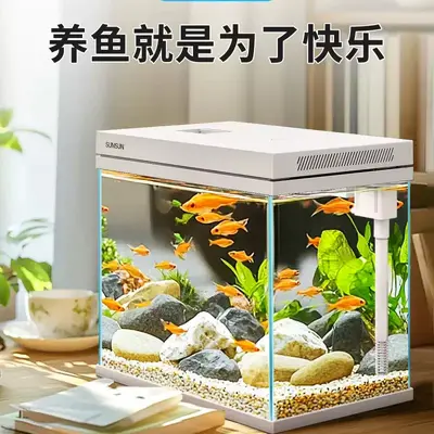 HEJ Mini-Aquarium aus extra klarem Glas mit Sauerstoffanreicherung, Tischaquarium