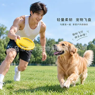 Large Dog Toy Interactive Ring Frisbee Tug Chew-Resistant for Golden Retriever - 4